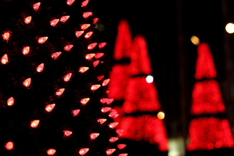 Illustration for article titled Photo Contest: Christmas Lights